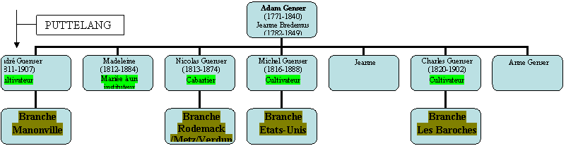 Organigramme hirarchique